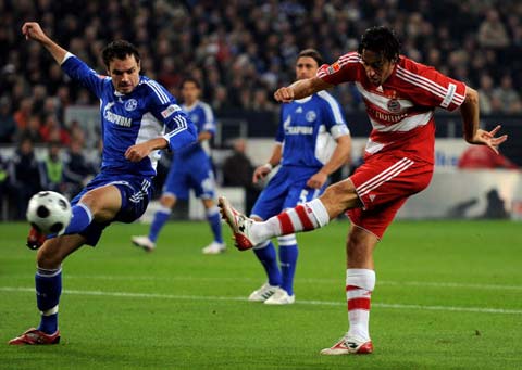 布澤利斯在 布澤利斯在